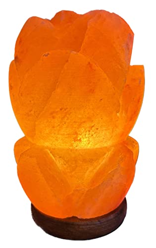 SudoreWell® Salzkristall Lampe Salzlampe LOTUSBLUME aus der Salt Range Pakistan by Salzarena