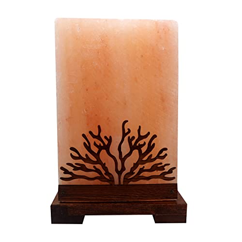SudoreWell® Salzlampe Salzkristall Lampe 'Old Tree' mit Holzsockel aus der Salt Range Pakistan by Salzarena