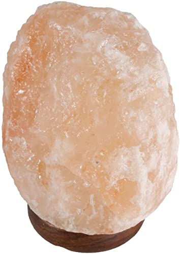 SudoreWell® Salzkristall Lampe Salzlampe Natur 8-10 kg aus der Salt Range Pakistan by Salzarena