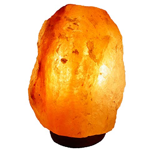 BOSALLA Salz Lampe von 2 kg bis 26 kg frei wählbar Kristall Lampen Salt Range Pakistan mit Spezial Leuchtmittel und Kabel in 120 cm WEIß (2-4 kg)