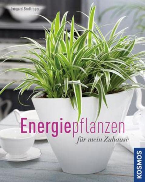 Energiepflanzen für mein Zuhause (Mein Garten)